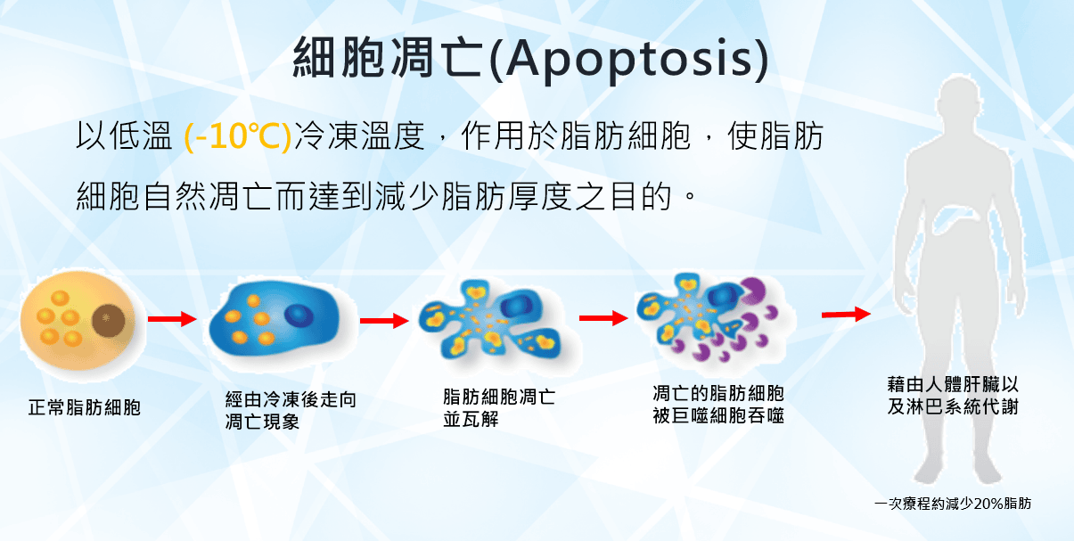 艾錡,艾錡醫美,醫美診所,高雄醫美,鼓山醫美,醫美診所,高雄醫美診所,減重門診,電波,音波,電音波拉提,onda,