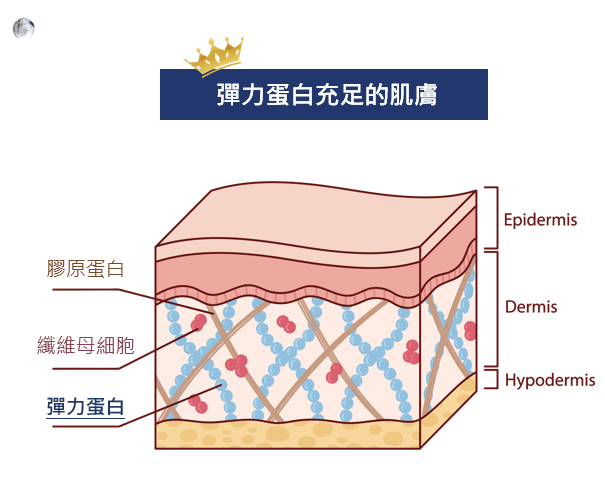 艾錡,艾錡醫美,醫美診所,高雄醫美,鼓山醫美,醫美診所,高雄醫美診所,減重門診,電波,音波,電音波拉提,onda,